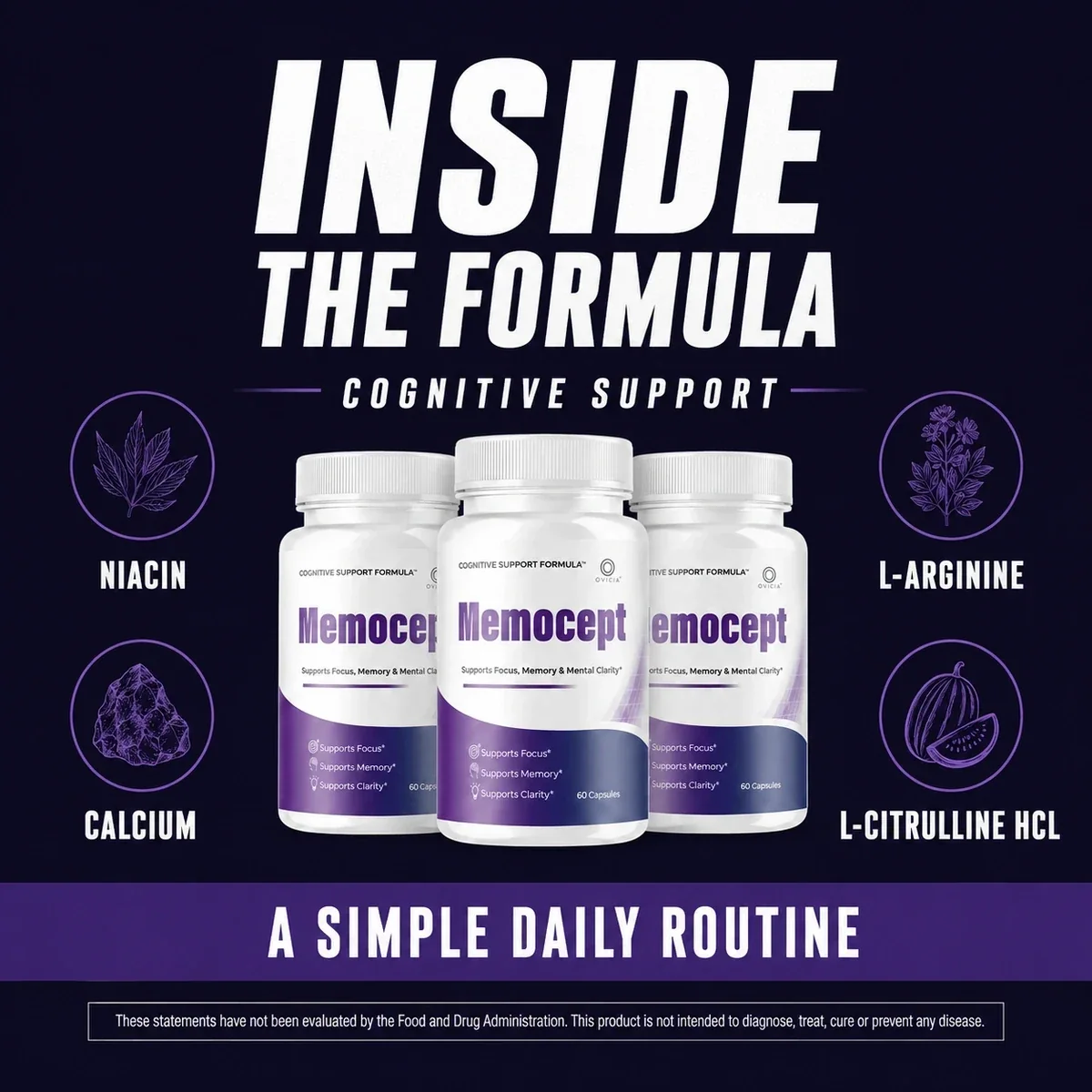 Inside the Memocept formula: niacin, calcium and L-arginine