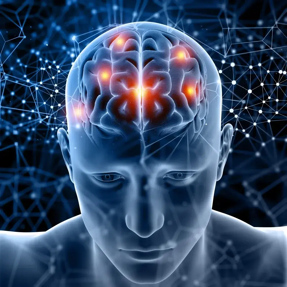 An illustration of a head with the brain highlighted